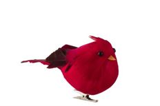 CARDINAL FAT W/CLIP 5.5CM RED