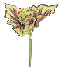 BEGONIA LEAF X6 14" BURG/GREEN
