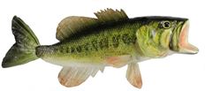 FISH LARGEMOUTH BASS 10"