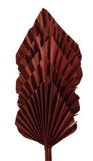 PALM SPEARS MAHOGANY 5/PK