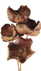 PALM CAP NATURAL 5/PK