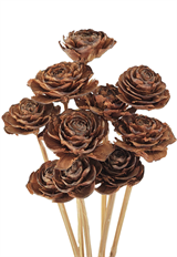 CEDAR ROSE NATURAL 10/PK