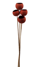 BELL CUP MAHOGANY 5-7/PK