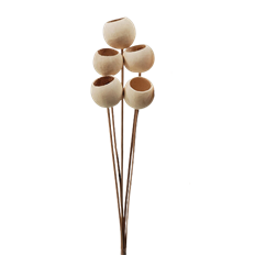 BELL CUP BLEACHED 5-7/PK