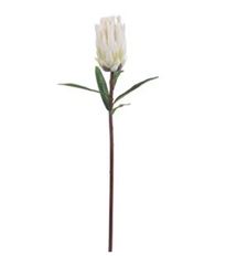 PROTEA MINK 29" WHITE