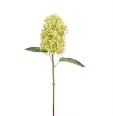 HYDRANGEA 21" LAVENDER GREEN