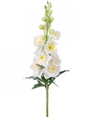 DELPINIUM GARDEN 27.5" WHITE