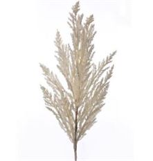 SPRAY 27" SORGHUM GRASS CREAM