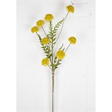 CLOVER 28" YELLOW