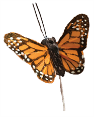 BUTTERFLY MONARCH 2" ORANGE 24/PK