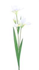 IRIS X2 30" WHITE