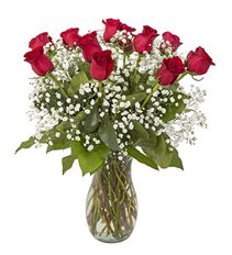 ROSE ARR 12