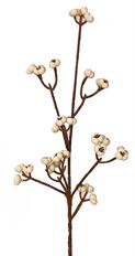 BERRY SPRAY X29 10" TALLOW 6/PK CRM