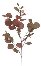 ASPEN BRANCH 37" X5