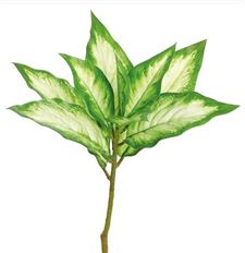 EVERGREEN PLANT 16" GRN/CREAM