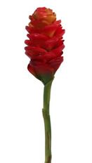 GINGER CONE 24" RED