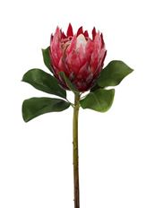PROTEA KING MINK 31.5" MAUVE