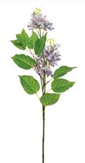 LILAC FRENCH 30.3" LAVENDER