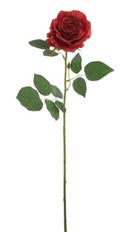 ROSEBUD TEA 32" RED