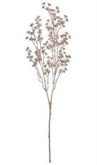 SEDUM SPRAY MET 25" CHAMPAGNE