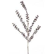 BERRY SPRAY 27" BROWN