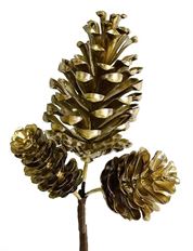 PINECONE X3 PICK 11" GOLD