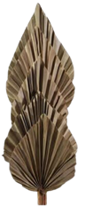 PALM SPEARS NATURAL 5/PK