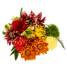 FALL KOEHLERS BEST BOUQUET