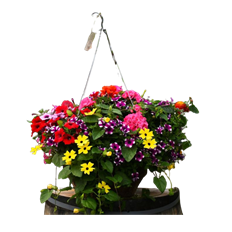 10.5" HARVEST SQUARE PLANTER