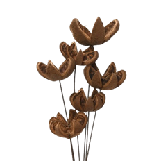 AMAZONIAN LILY STEMMED 6/PK