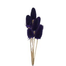 TEASILS 16" PURPLE PK/6