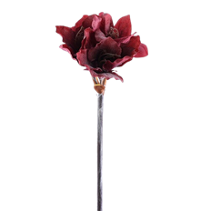 AMARYLLIS 19" RED