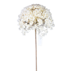 QUEEN ANNE'S LACE 27" WHITE