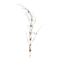 BIRCH MOSS BRANCH 45" WHI NAT