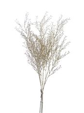 BERRY BRANCH 35" SHINY CHAMP