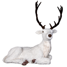DEER LYING WHITE