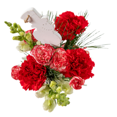 CANDY CANE FOREST BQT