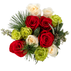 DESIGNER'S DOZEN BQT