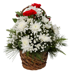 6" WINTER BASKET ARR