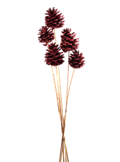 PINECONE AUSTRICA RED GLITTER 5/PK
