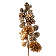 PINECONE MIXED X31 SPRAY 24"