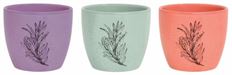 POTTERY CACHE 5" PASTEL LV/GR/PC