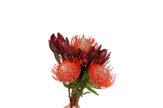 TROPICAL BOUQUET HEARTS ON FIRE