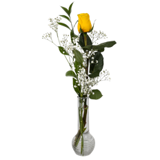 1 COLOR ROSE BUD VASE