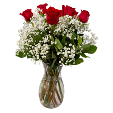 SIX RED ROSE ARR.
