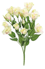 LISIANTHUS BUSH 20.5" PINK/CREAM