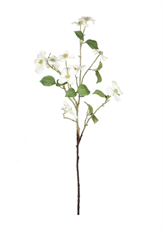 DOGWOOD BRANCH 42" WHITE