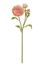 RANUNCULUS 22.5" LIGHT MAUVE