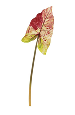 ANGEL WING 37.5" CRIMSON