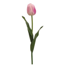 TULIP REAL TOUCH 24" PINK